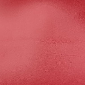 Pre-owned Gucci Bamboo Nymphaea Red Leather 453767 shoulderbag | stylenewstar