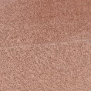 Pre-owned Celine Teen Triomphe White×brown PVC coated canvas shoulderbag | stylenewstar