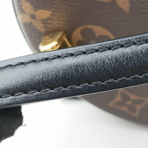 Pre-owned Louis Vuitton Cannes Brown × Black Monogram Reverse M43986 shoulderbag | stylenewstar