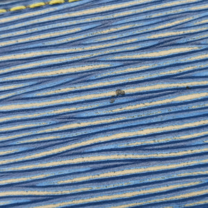 Pre-owned Louis Vuitton Portefeuille Twist Denim blue Epi M61036 shoulderbag | stylenewstar