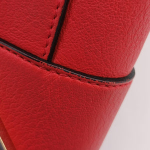 Pre-owned Loewe Amazona36 Red Leather shoulderbag | stylenewstar