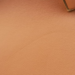 Pre-owned Fendi First Brown Leather 8BP129 shoulderbag | stylenewstar