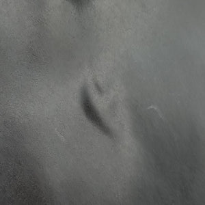 Pre-owned Fendi Hollow Tote Black Leather 8BH185 handbag | stylenewstar