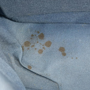 Pre-owned Louis Vuitton Mikael Neptune (Blue) Damie Infinite N41353 backpack/rucksack | stylenewstar