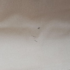 Pre-owned Chloe Woody Beige x Brown x Black canvas handbag | stylenewstar