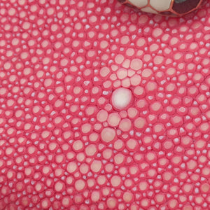 Pre-owned Bvlgari Serpenti Pink Galuchat Skin×Leather shoulderbag | stylenewstar