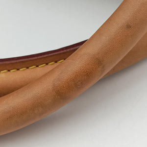 Secondhand Louis Vuitton Néo Brown×Beige Monogram Eden M40379 shoulderbag | stylenewstar