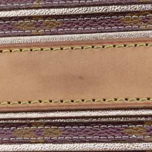 Secondhand Louis Vuitton Néo Brown×Beige Monogram Eden M40379 shoulderbag | stylenewstar