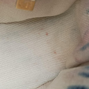 Pre-owned Christian Dior Dior Caro Small Multicolour Canvas shoulderbag | stylenewstar