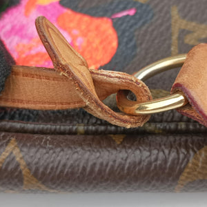 Pre-owned Louis Vuitton Pochette Accessoires brown×multi Monogram Canvas M48615 handbag | stylenewstar