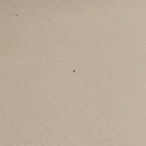 Pre-owned Yves Saint Laurent SUNSET Beige Leather 452157 shoulderbag | stylenewstar