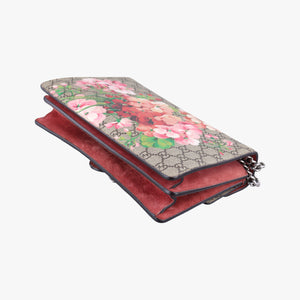 Pre-owned Gucci Dionysus BEIGE×RED×Multicolour PVC coated canvas 400249 shoulderbag | stylenewstar