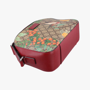 Pre-owned Gucci GG Supreme Tian Camera Brown PVC coated canvas×Leather 450947 shoulderbag | stylenewstar