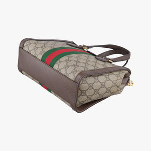 Pre-owned Gucci Ophidia brown×red×green PVC coated canvas×Leather 547551 handbag | stylenewstar