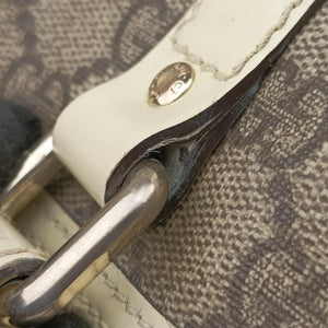 Pre-owned Gucci GG plus Spring Joy GG Supreme BEIGE×WHITE PVC coated canvas 193603 handbag | stylenewstar
