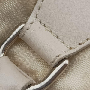 Secondhand Christian Dior Lovely Beige Diorissimo Canvas × Leather handbag | stylenewstar