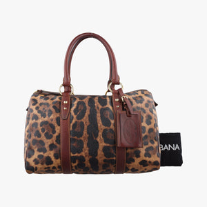 Pre-owned Dolce & Gabbana Crespo Leopard Animalier Multicolour PVC coated canvas handbag | stylenewstar