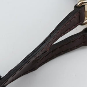 Pre-owned Gucci Charlotte BeigexBordeaux canvasxLeather 203503 shoulderbag | stylenewstar