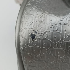 Pre-owned Christian Dior Zucchino Glitter Logo Silver × Gray Leather handbag | stylenewstar
