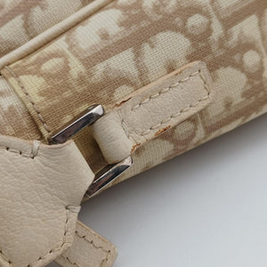 Pre-owned Christian Dior Trotter Flower Beige PVC Coated Canvas Floral Embroidery shoulderbag | stylenewstar