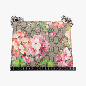 Pre-owned Gucci Dionysus beige×red×Multicolour PVC coated canvas × suede 421970 shoulderbag | stylenewstar