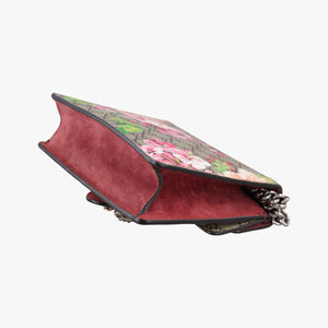 Pre-owned Gucci Dionysus beige×red×Multicolour PVC coated canvas × suede 421970 shoulderbag | stylenewstar