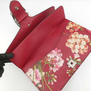 Pre-owned Gucci Dionysus Red×Multicolour Leather 400249 shoulderbag | stylenewstar
