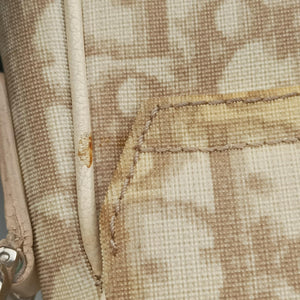 Pre-owned Christian Dior Trotter Flower Beige PVC Coated Canvas Floral Embroidery shoulderbag | stylenewstar