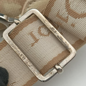 Pre-owned Christian Dior Trotter Flower Beige PVC Coated Canvas Floral Embroidery shoulderbag | stylenewstar