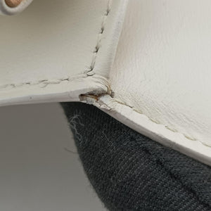 Pre-owned Delvaux Brillant White Leather shoulderbag | stylenewstar