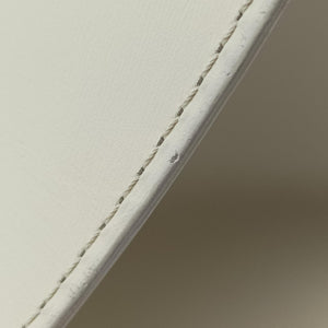 Pre-owned Delvaux Brillant White Leather shoulderbag | stylenewstar