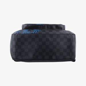 Pre-owned Louis Vuitton Josh Christopher Nemeth Rope Pattern blue×multicolor Damier Graphite N41712 backpack/rucksack | stylenewstar