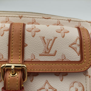 Vintage Louis Vuitton Maxi Pochette Accessoires Ivory x Brown PVC-coated canvas M20920 shoulderbag | stylenewstar