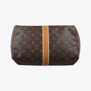 Pre-owned Louis Vuitton Speedy 30 brown×multi Monogram Canvas M41526 handbag | stylenewstar