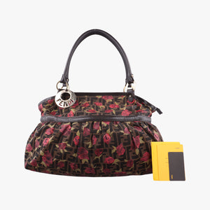 Pre-owned Fendi Zucca Print Brown×Multicolour canvas 8BH186 handbag | stylenewstar