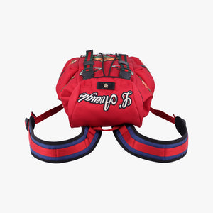 Pre-owned Gucci Techno Vintage Web L'Aveugle Par Amour Embroidered Red canvas 478327 backpack/rucksack | stylenewstar
