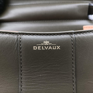 Pre-owned Delvaux Brillant Mini Green leather shoulderbag | stylenewstar