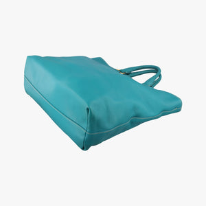 Pre-owned Prada Vitello Phoenix Blue Green Leather BN1713 handbag | stylenewstar