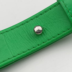 Pre-owned Bottega Veneta candy cassette Green lambskin shoulderbag | stylenewstar