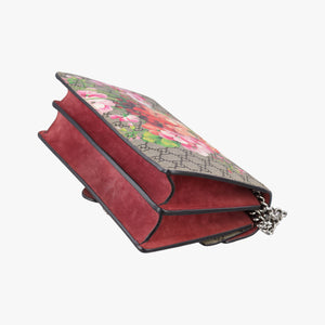 Vintage Gucci Dionysus Beige×red×multicolor PVC coated canvas × suede 400249 shoulderbag | stylenewstar