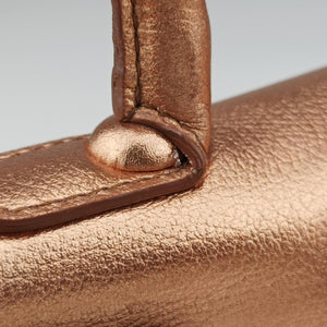 Pre-owned Delvaux Brillant Mini Pink Gold leather shoulderbag | stylenewstar