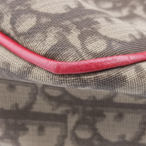 Pre-owned Christian Dior Rasta Trotter Messenger beige×Multicolour PVC coated canvas x leather shoulderbag | stylenewstar