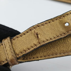Pre-owned Gucci Princy Golden×Brown canvas×leather 204939 shoulderbag | stylenewstar