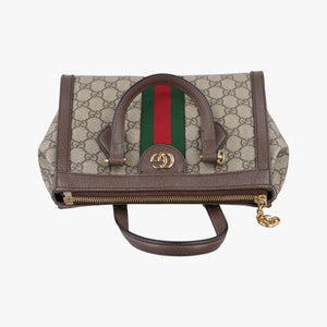 Secondhand Gucci Ophidia brown×red×green PVC coated canvas×Leather 547551 shoulderbag | stylenewstar