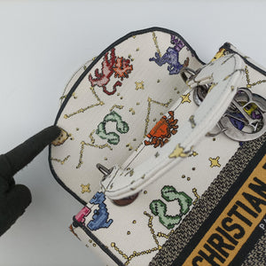 Pre-owned Christian Dior Lady D-Lite Ecru Multicolor Canvas shoulderbag | stylenewstar