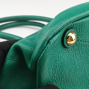 Vintage Miu Miu Vitello Caribu Green Leather RN0620 handbag | stylenewstar
