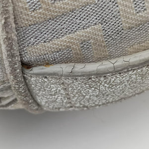 Pre-owned Fendi Zucchino Glitter Logo Silver canvas 8BL068 handbag | stylenewstar