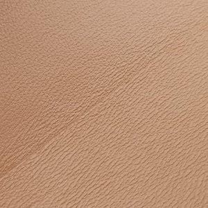Pre-owned Celine Teen Triomphe Brown Leather 188423BF4 shoulderbag | stylenewstar