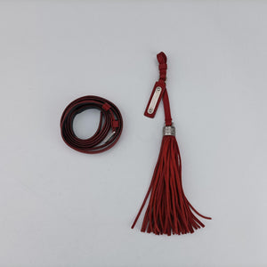 Pre-owned Yves Saint Laurent Lou camera Red Leather 527096 shoulderbag | stylenewstar