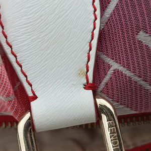 Secondhand Fendi Forever Gradient Print Pink × Fuchsia Canvas × Leather 8BL098 handbag | stylenewstar